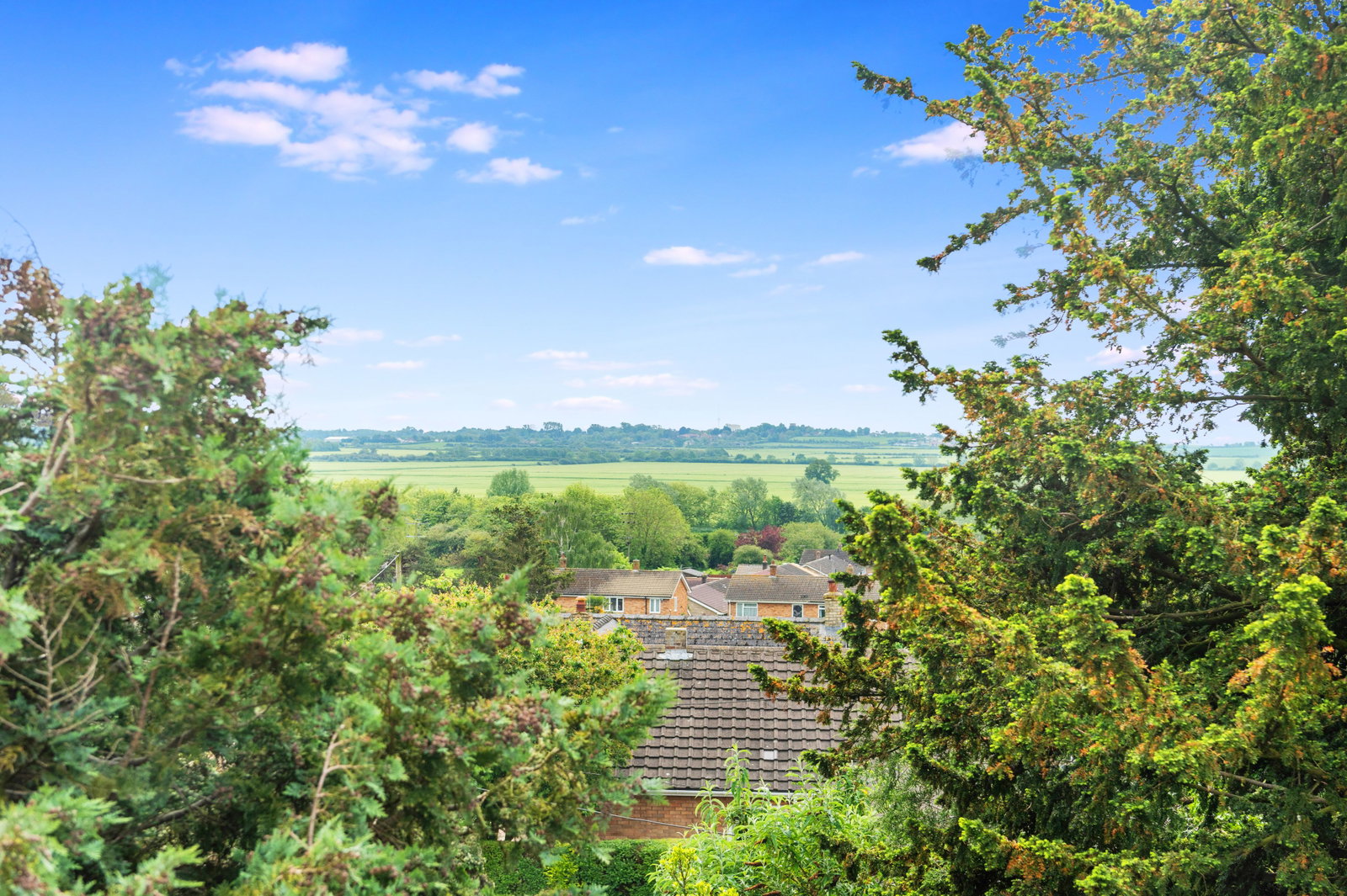 Detached House in Ely