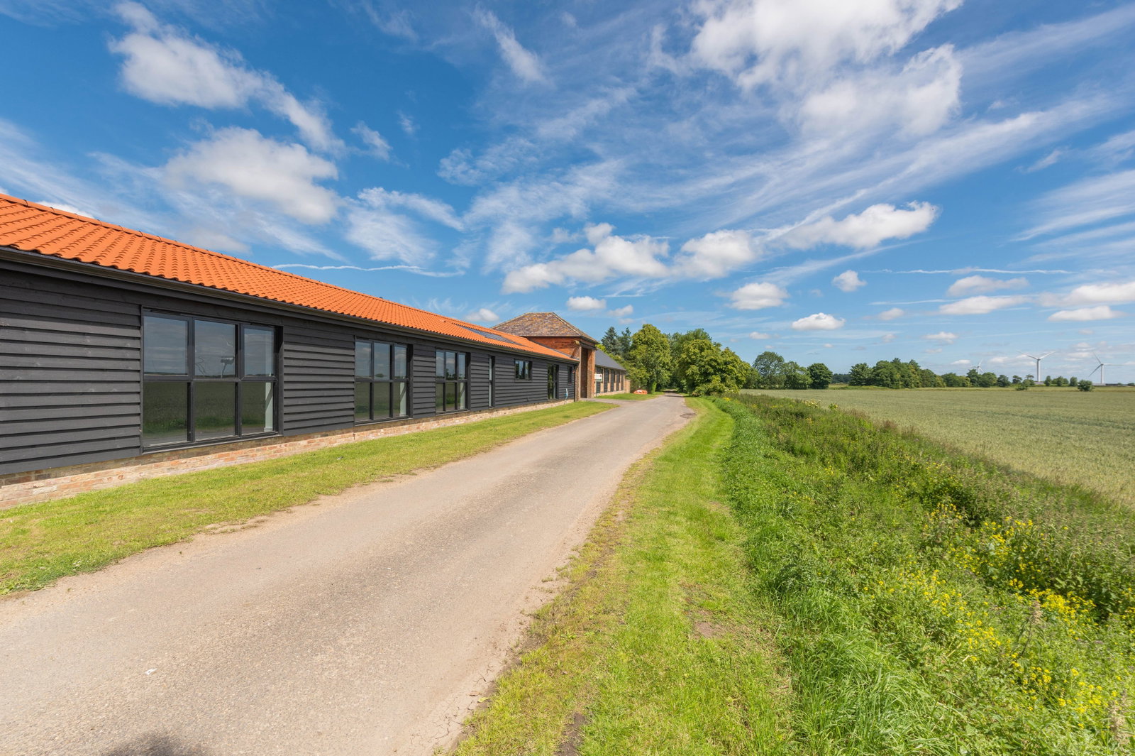 Detached House in March