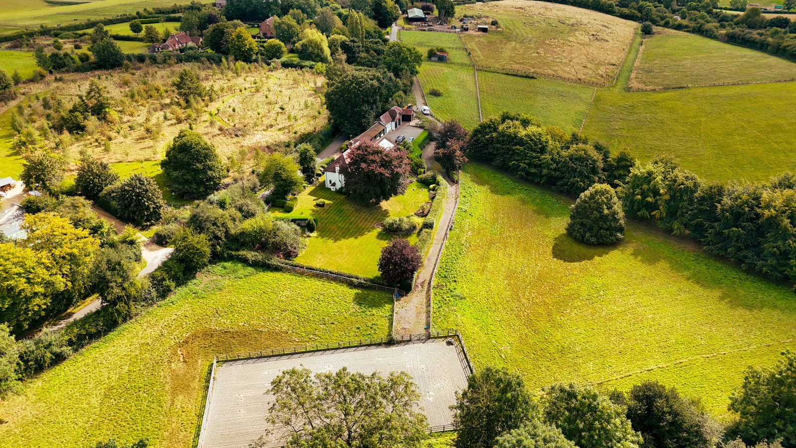 Equestrian in Amersham