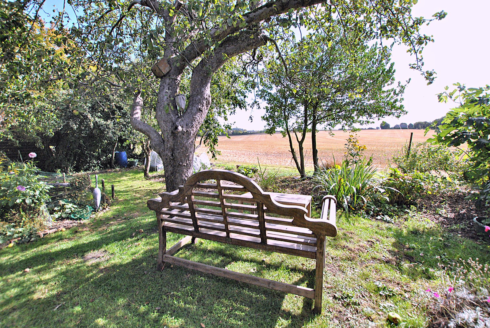 Cottage in Newmarket