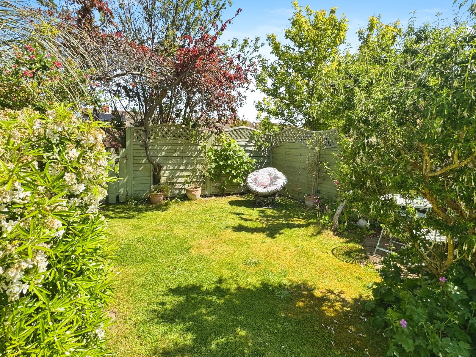 Terraced House in Minehead