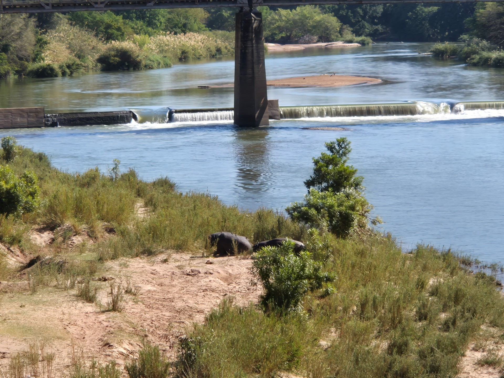 Vacant Land for sale in Elephant Rock Eco Estate, Hoedspruit, 2900 m²