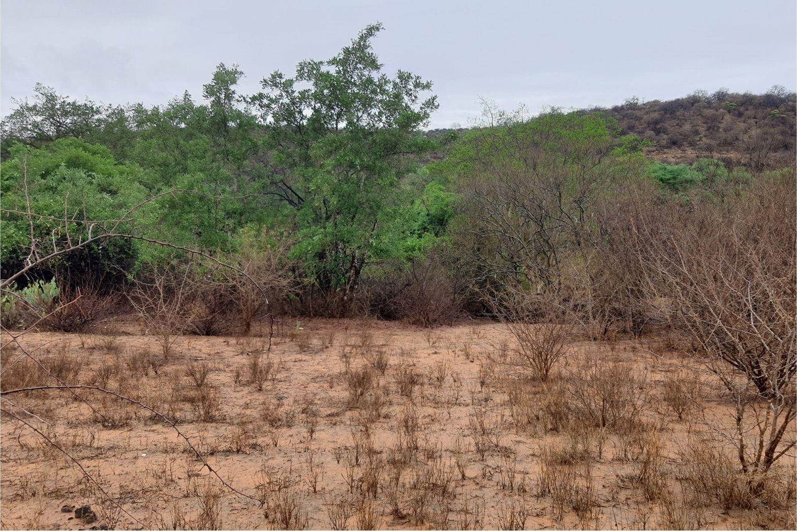 Vacant Land for sale in Elephant Rock Eco Estate, Hoedspruit, 2900 m²