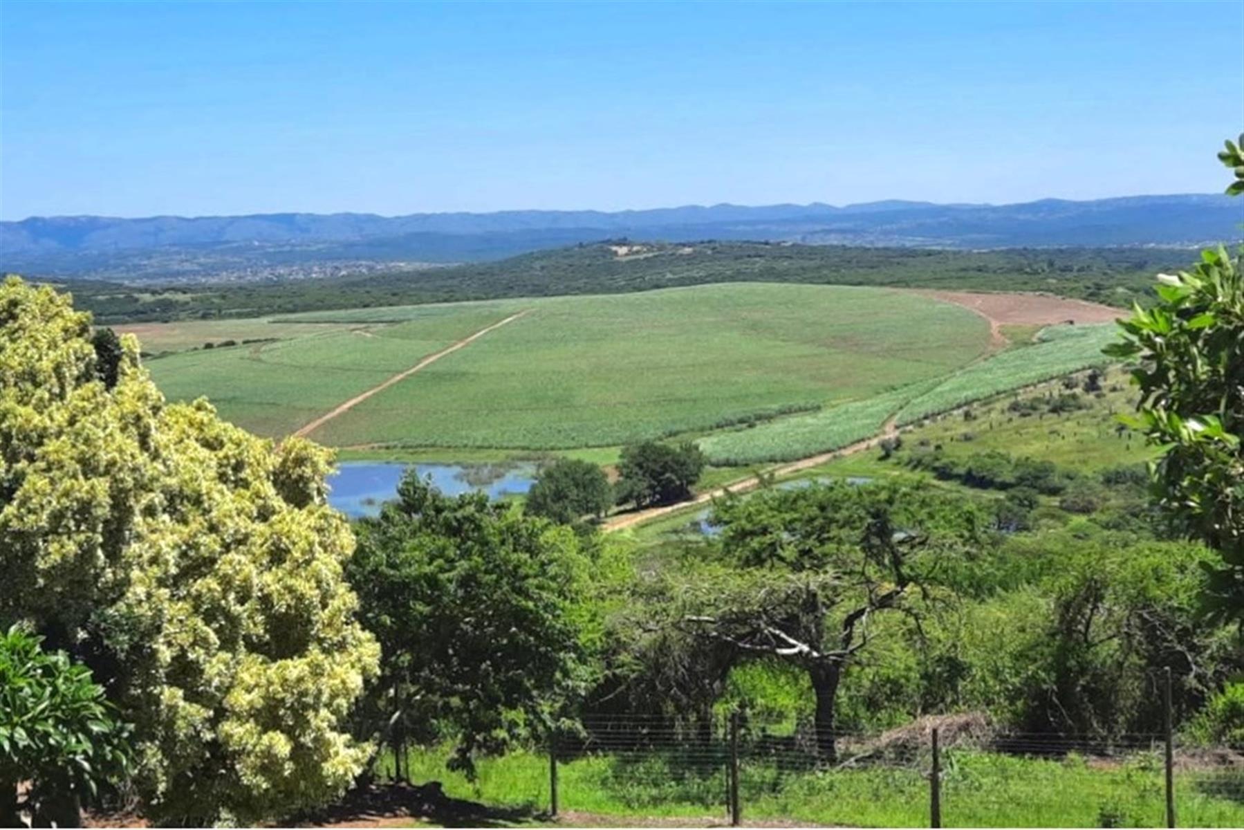 Farm for sale in Heatonville, Empangeni, KwaZulu Natal, 1200 m²