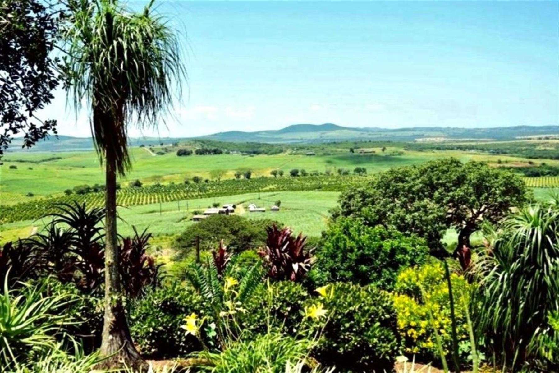Farm For Sale in Heatonville, Empangeni, KwaZulu Natal