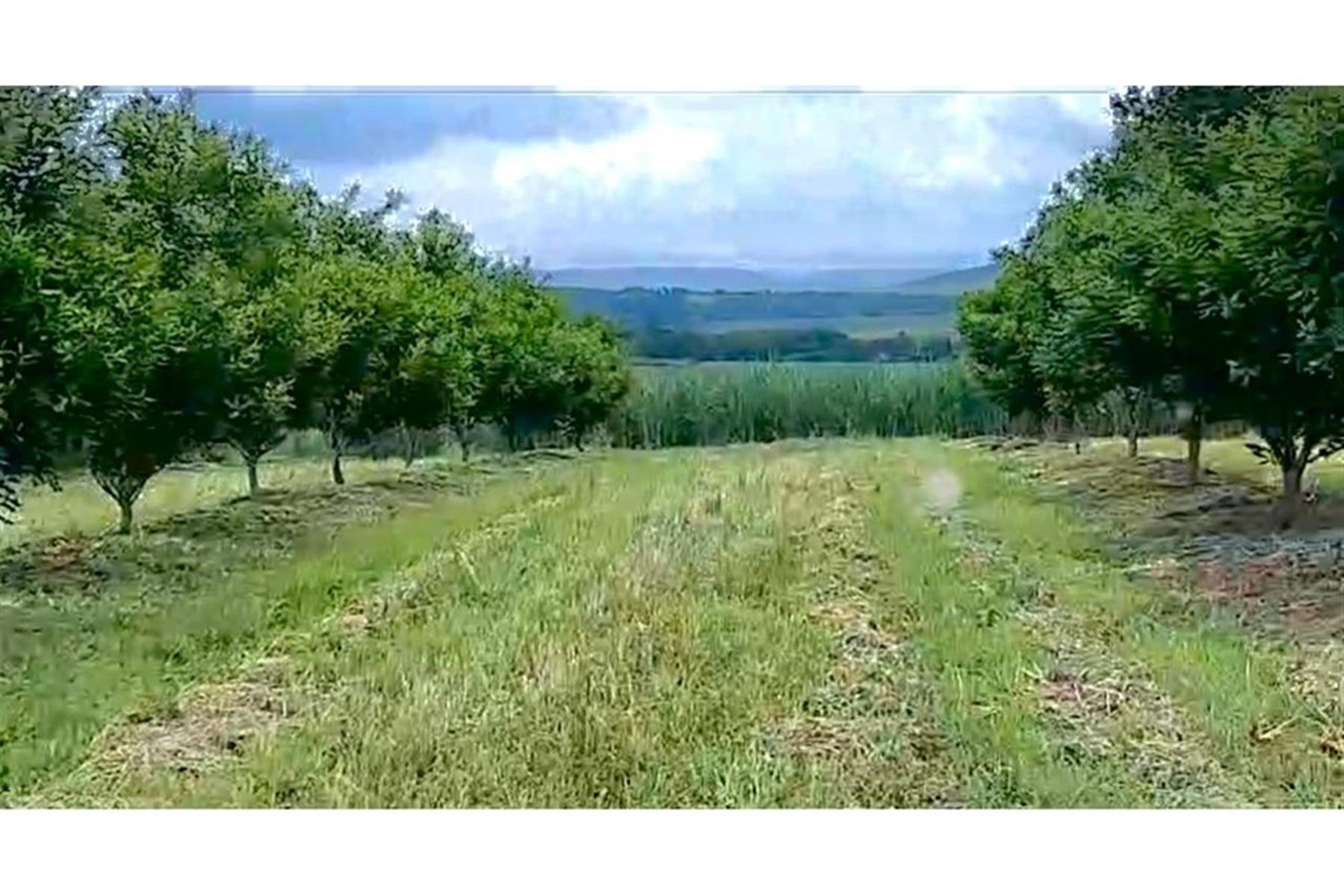 Farm For Sale in Heatonville, Empangeni, KwaZulu Natal