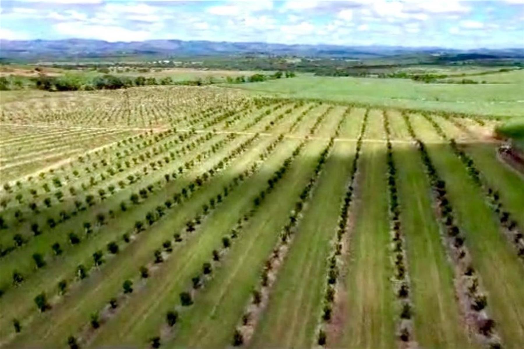 Farm For Sale in Heatonville, Empangeni, KwaZulu Natal