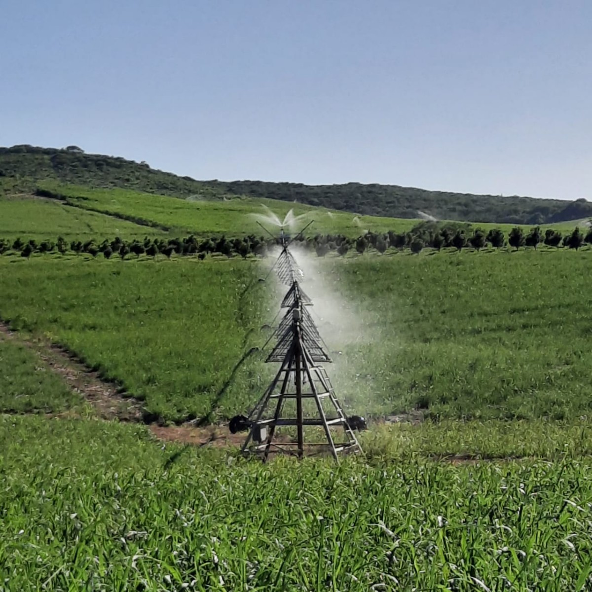 Farm For Sale in Heatonville, Empangeni, KwaZulu Natal