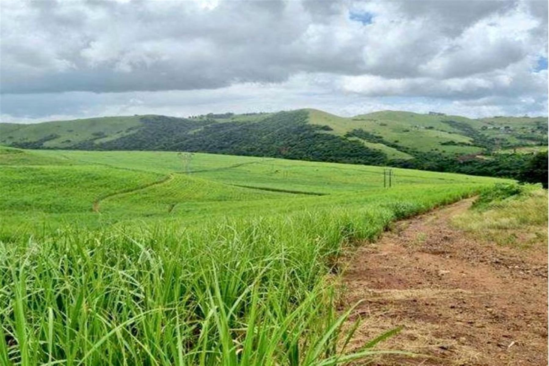 Farm For Sale in Heatonville, Empangeni, KwaZulu Natal