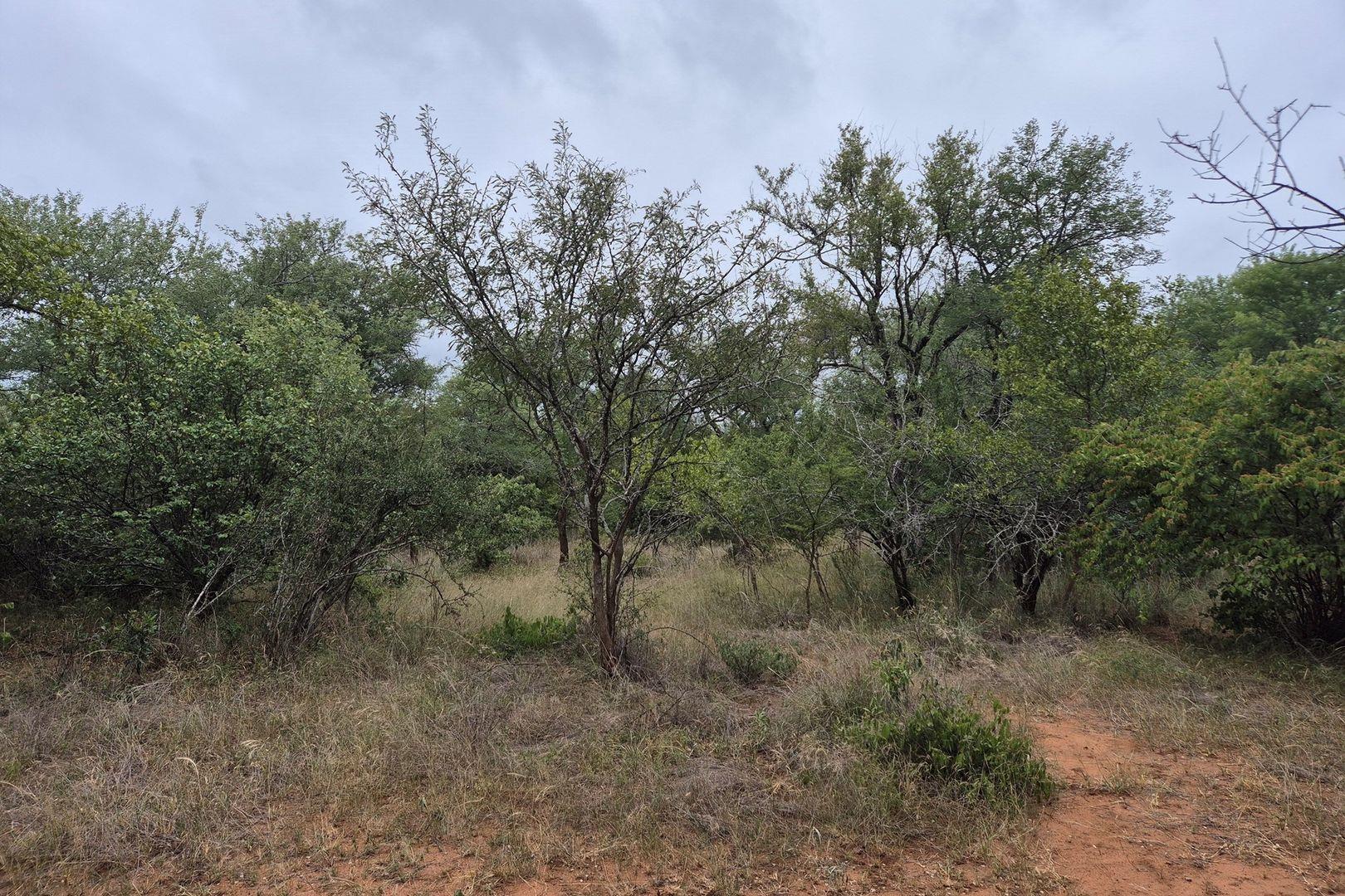 Vacant Land For Sale in Hoedspruit