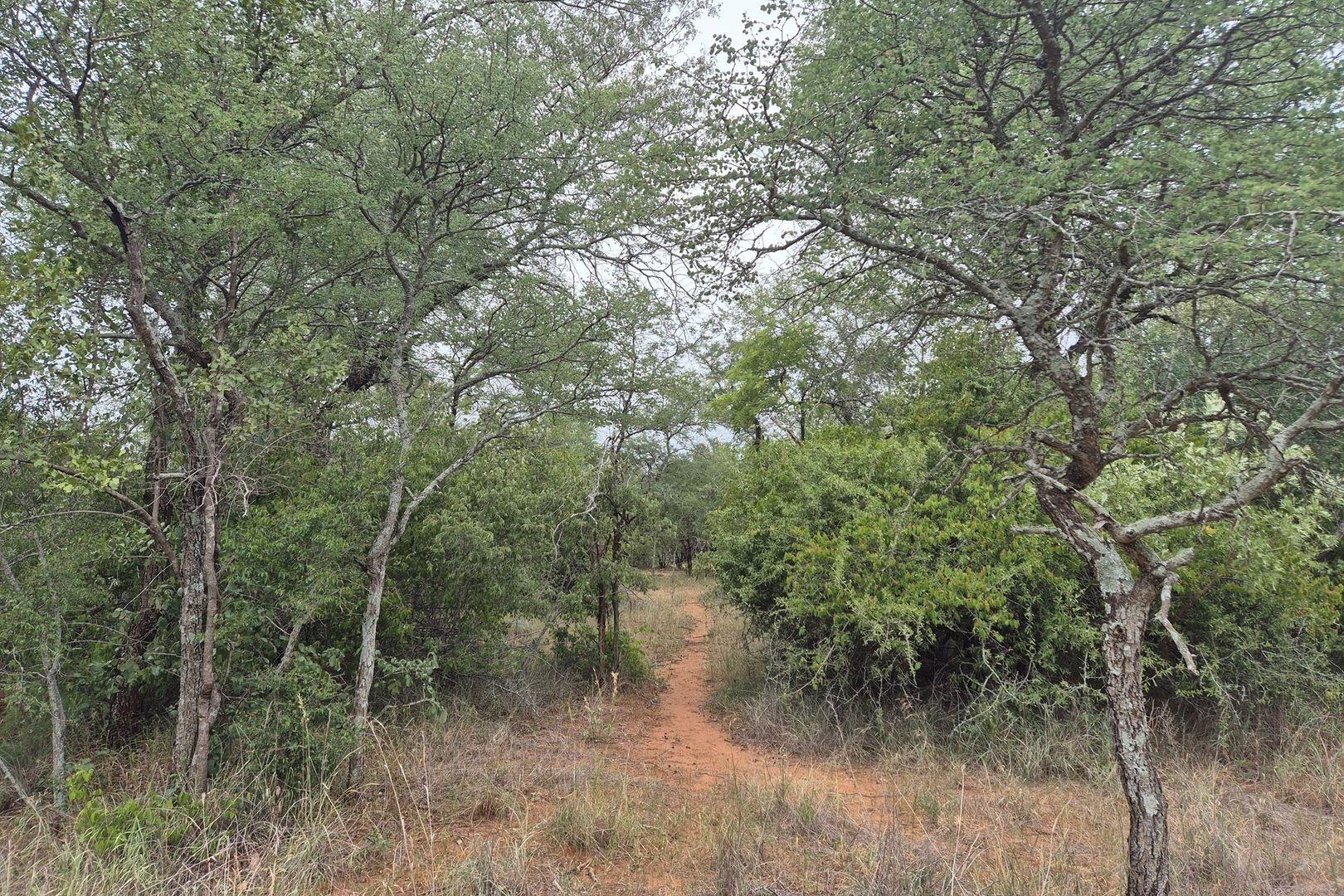 Vacant Land For Sale in Hoedspruit