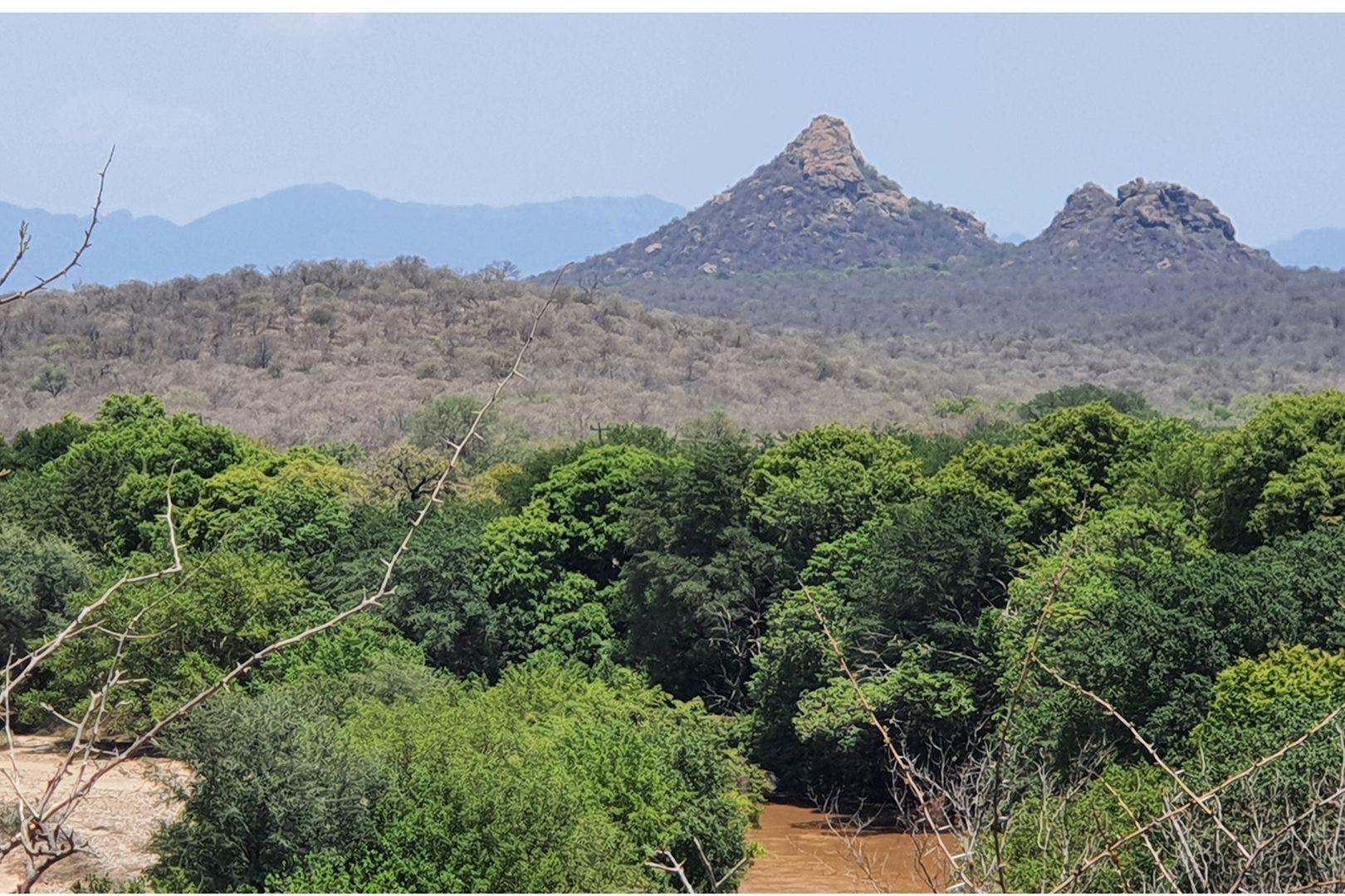 Vacant Land for sale in Elephant Rock Eco Estate, Hoedspruit, 2920 m²