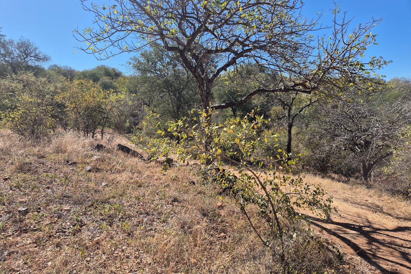 Vacant Land for sale in Elephant Rock Eco Estate, Hoedspruit, 2937 m²