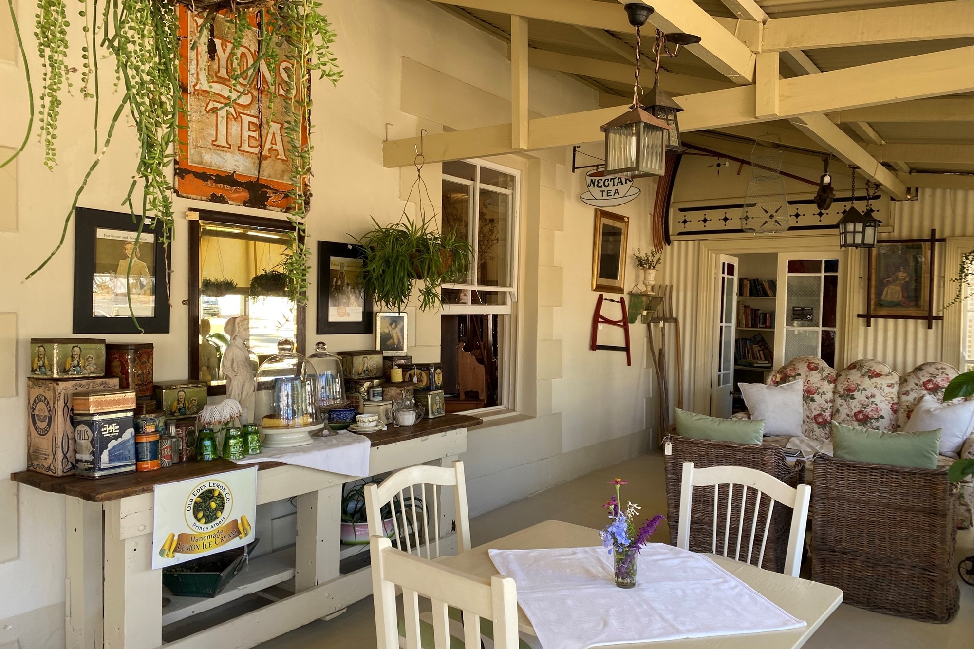 A Rare Gem in the Heart of Prince Albert