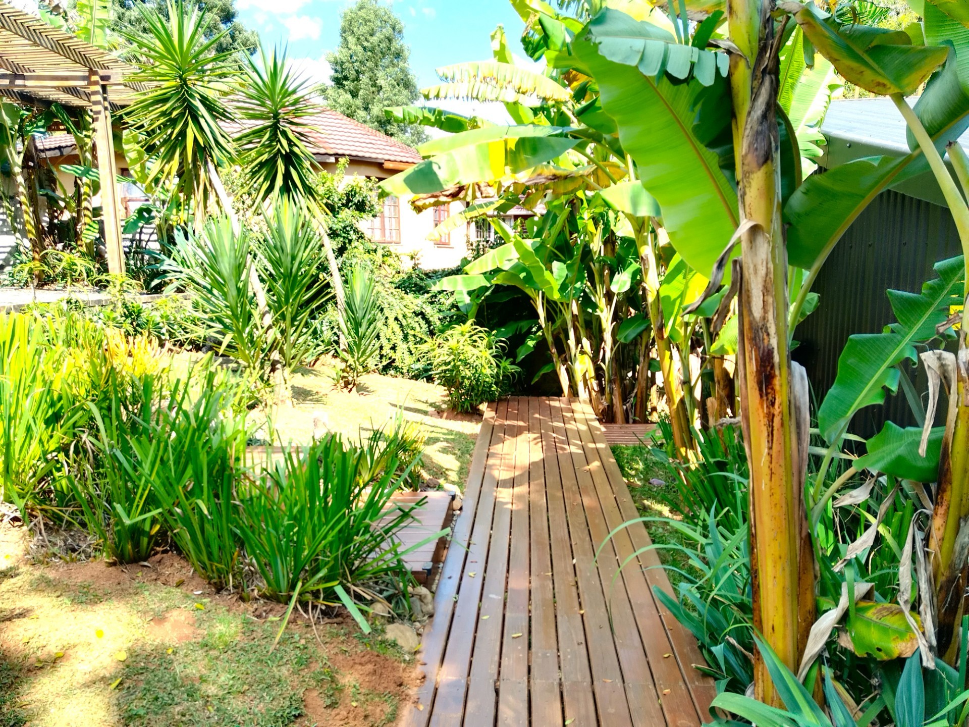 GUESTHOUSE FOR SALE IN GRASKOP