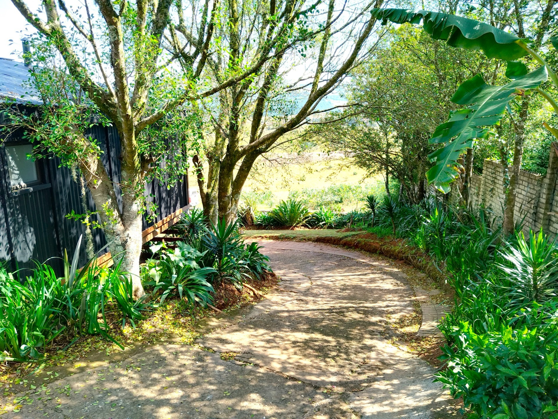 GUESTHOUSE FOR SALE IN GRASKOP