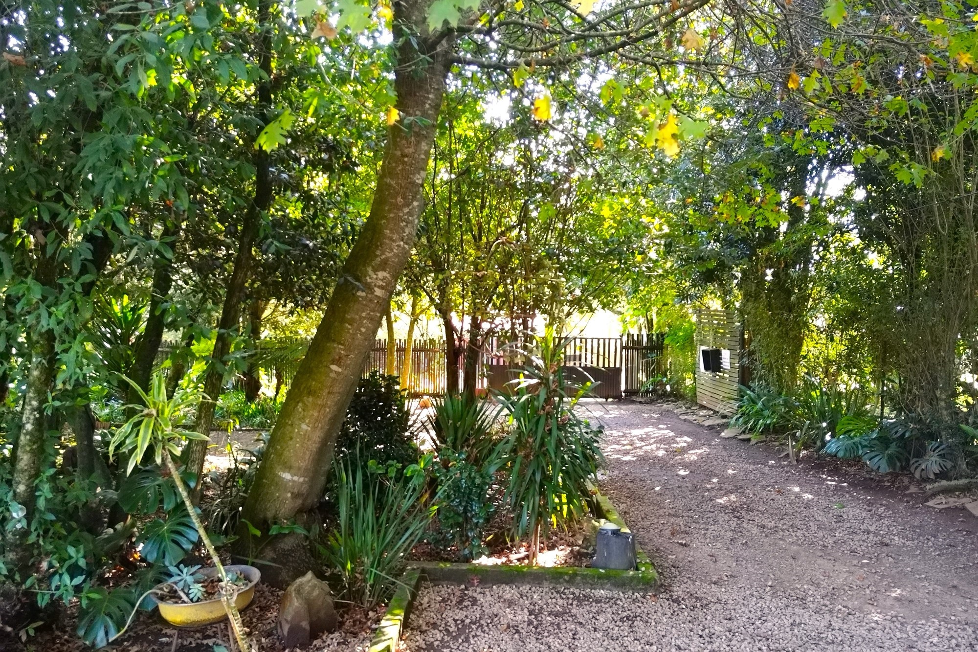 Guest House for sale in Graskop, 1588 m²