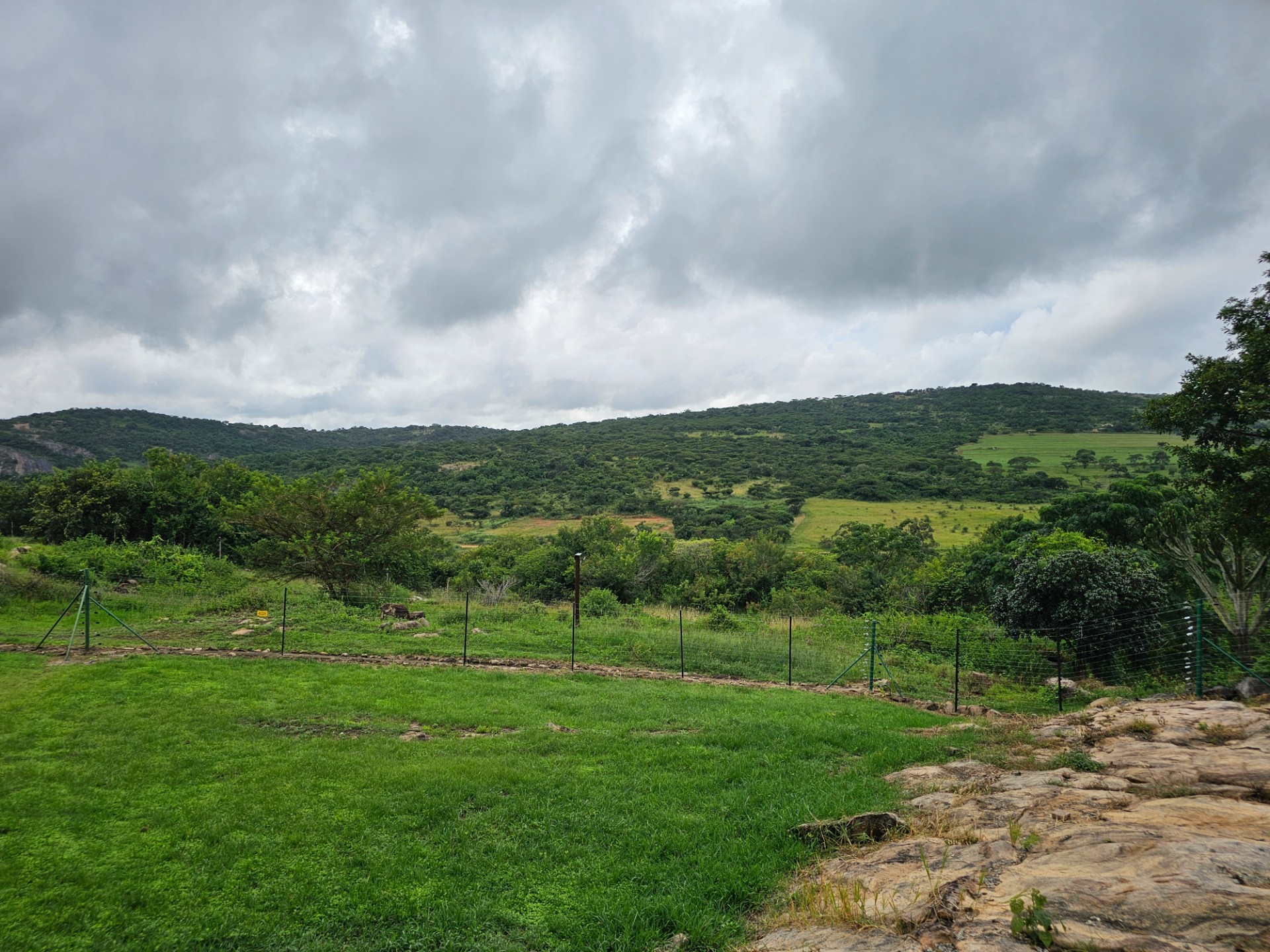 101ha land with 6ha water rights - ideal for cattle farming and planting