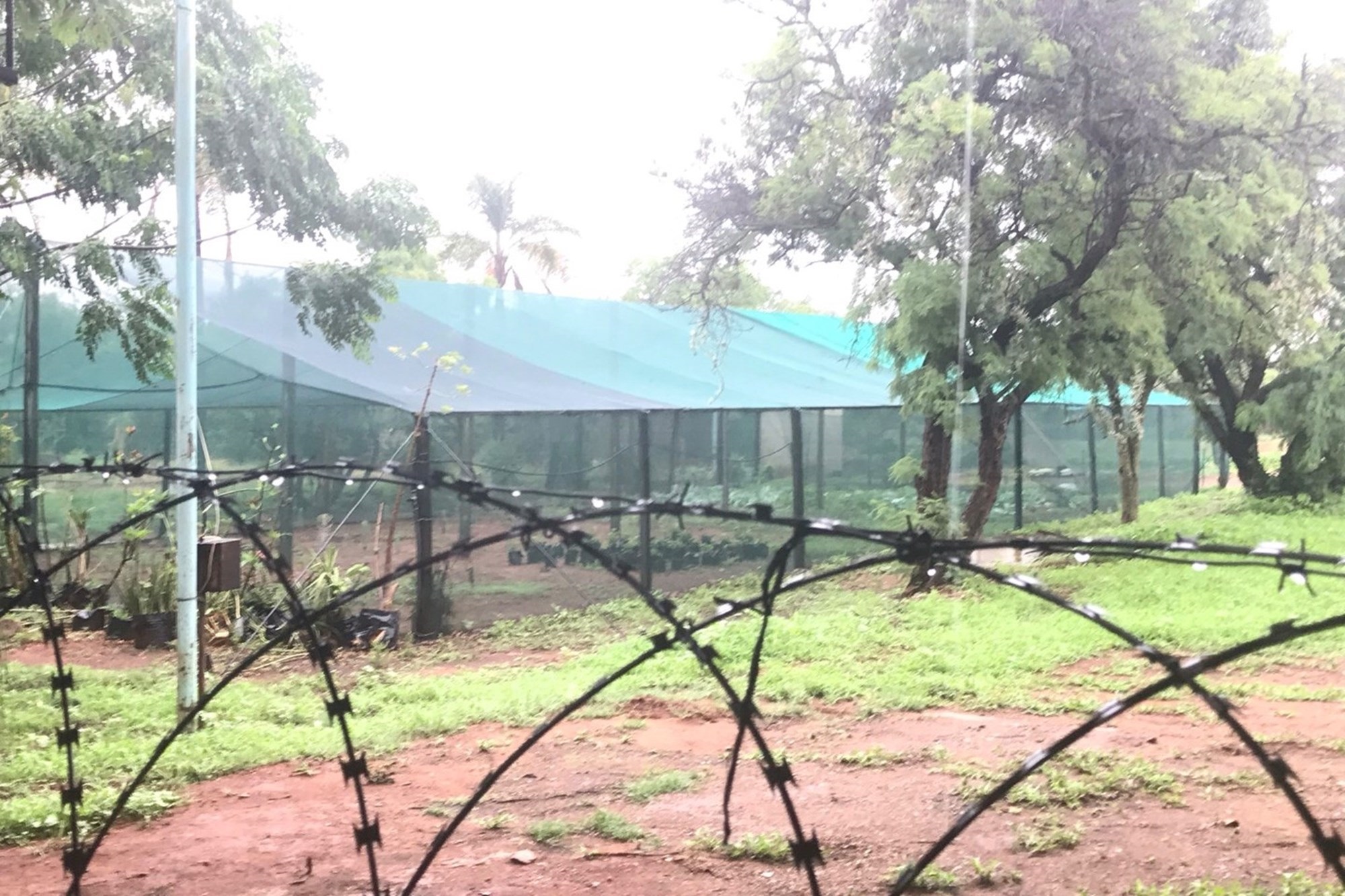 13.6 Ha Farm with 5 Houses, Offices and Warehouse 3