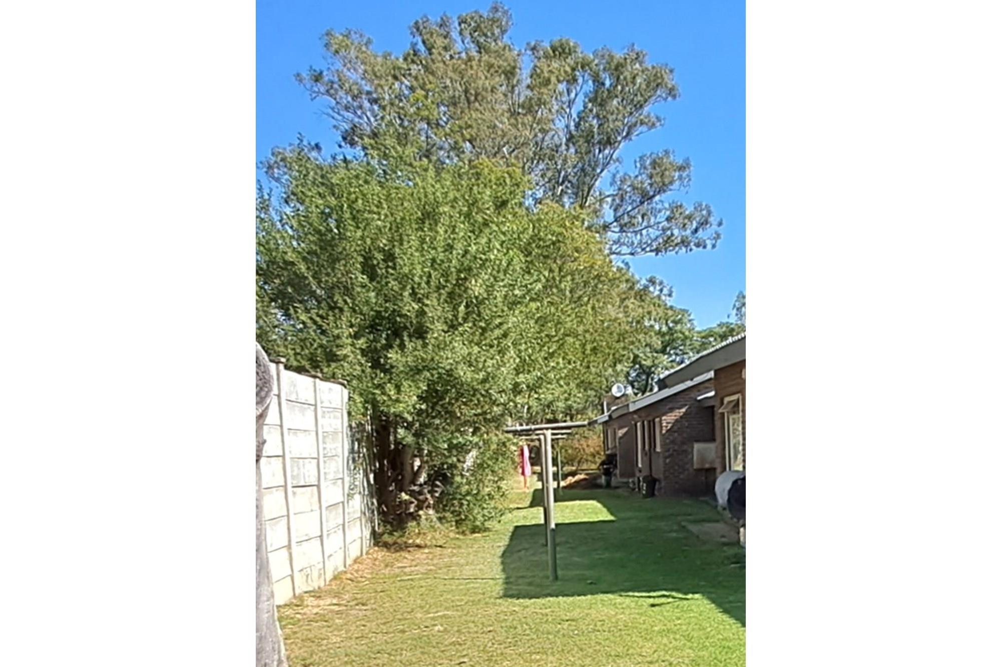 Investment opportunity: Six apartments available for purchase. Ideal for generating rental income