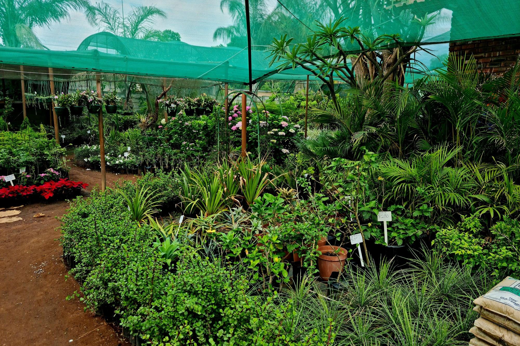 Thriving Commercial Gem in Louis Trichardt: A Shopper's Paradise Oasis