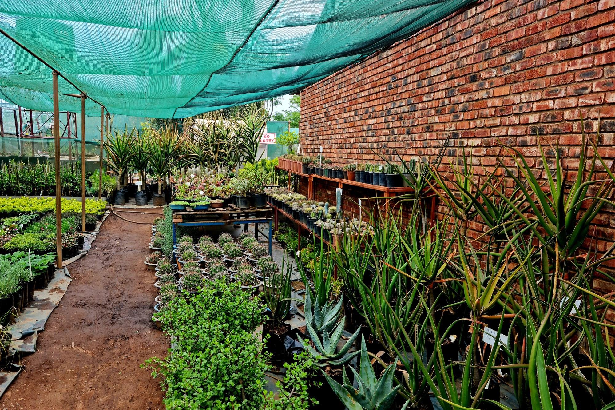 Thriving Commercial Gem in Louis Trichardt: A Shopper's Paradise Oasis