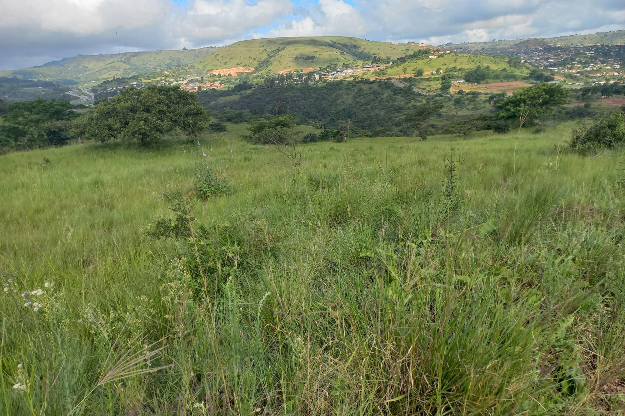 Factory for sale in Cliffdale, Hammarsdale, KwaZulu Natal, 30000 m²