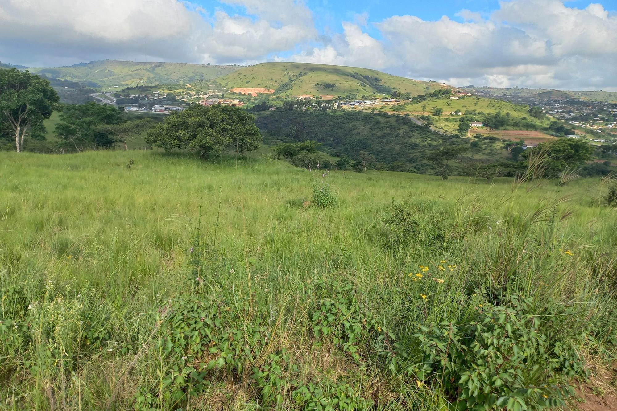 Factory for sale in Cliffdale, Hammarsdale, KwaZulu Natal, 30000 m²