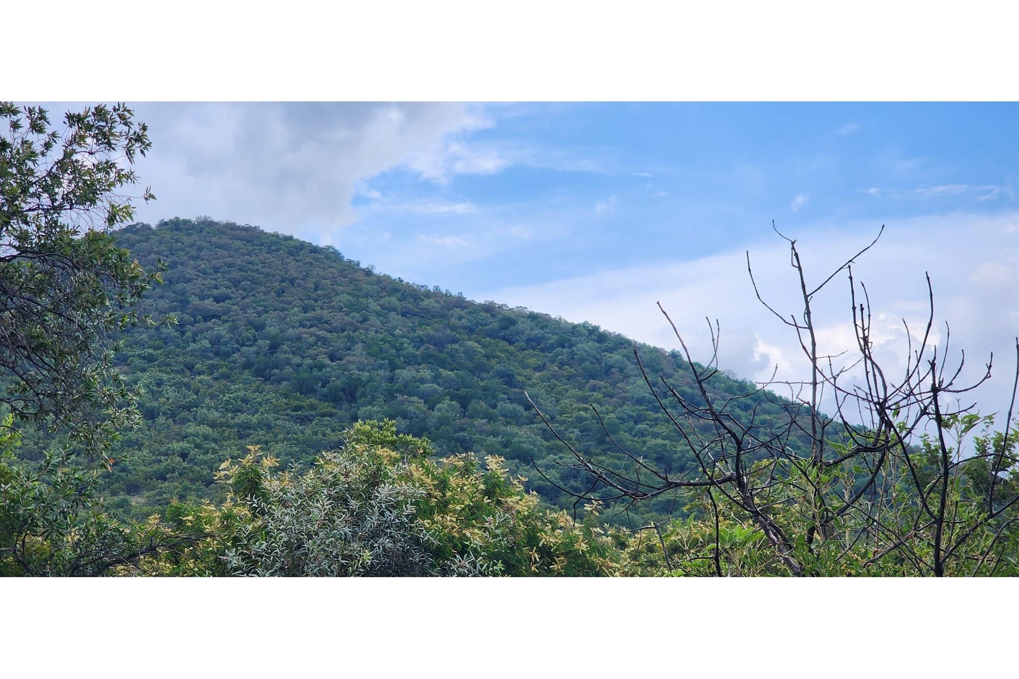 Innibos - 1 Ha Vacant land 16 km from Bela-Bela - Private Game Reserve - DOG Friendly