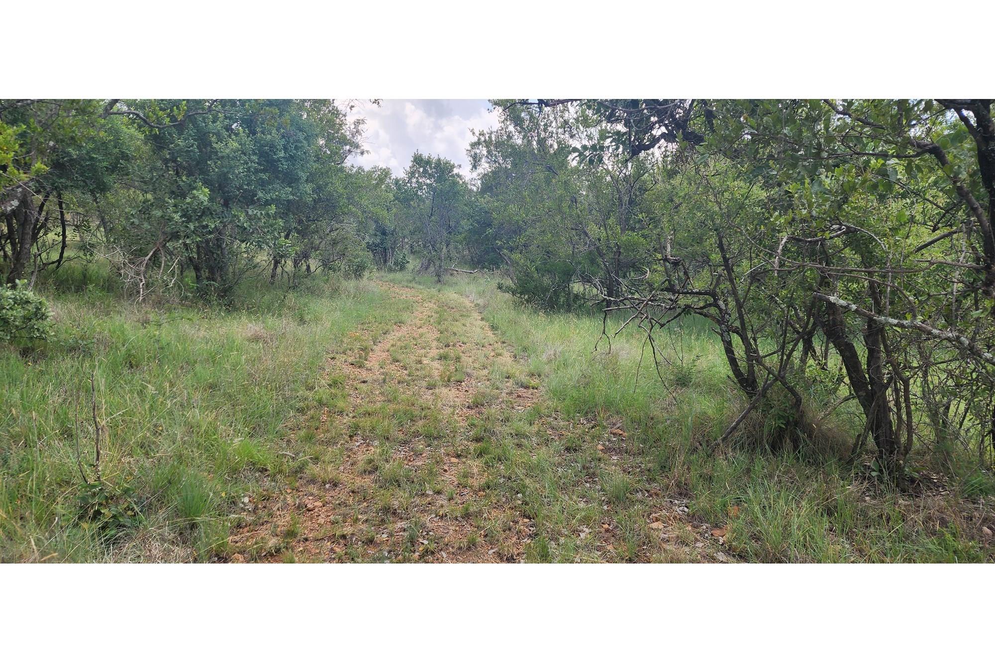 Innibos - 1 Ha Vacant land 16 km from Bela-Bela - Private Game Reserve - DOG Friendly