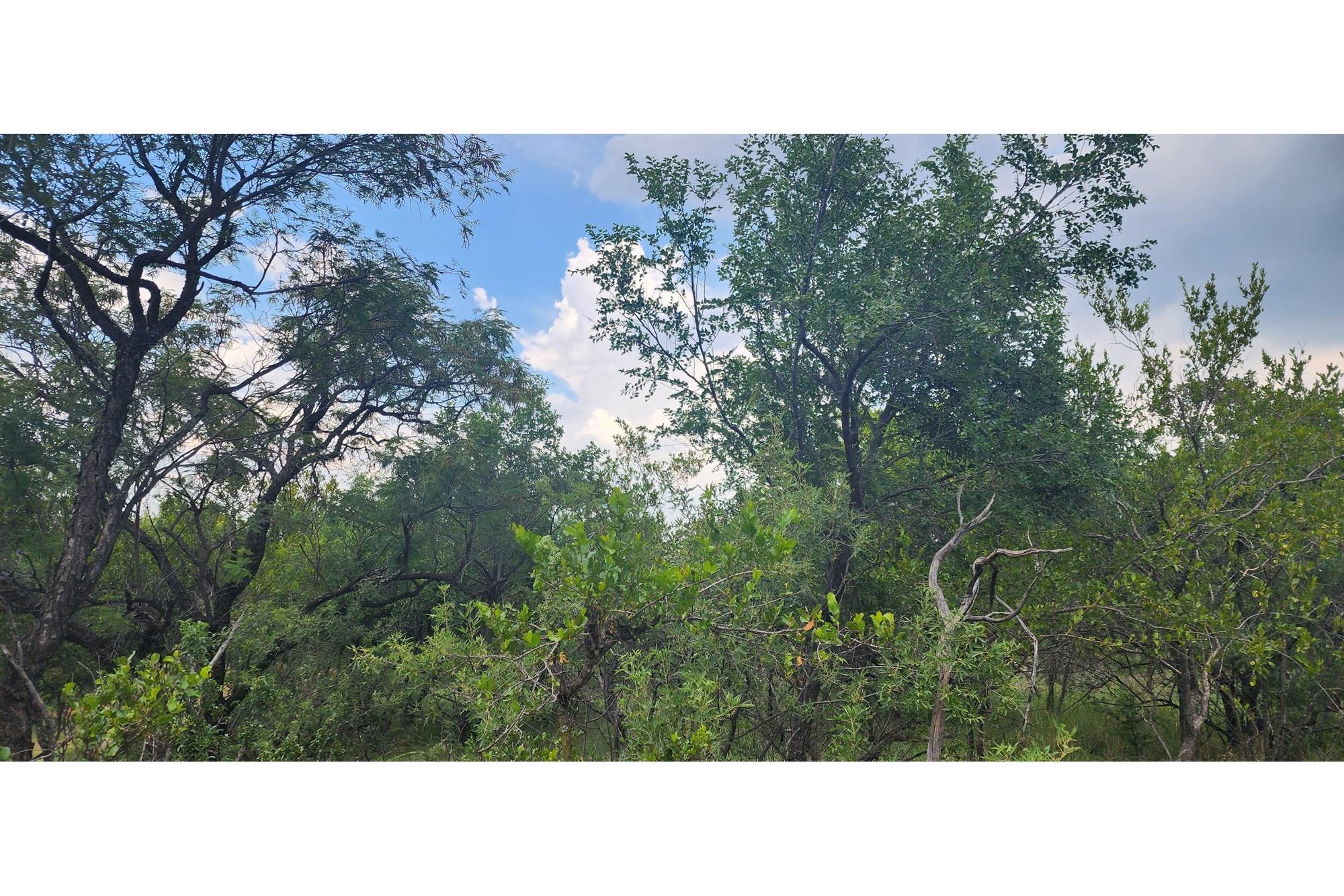 Innibos - 1 Ha Vacant land 16 km from Bela-Bela - Private Game Reserve - DOG Friendly