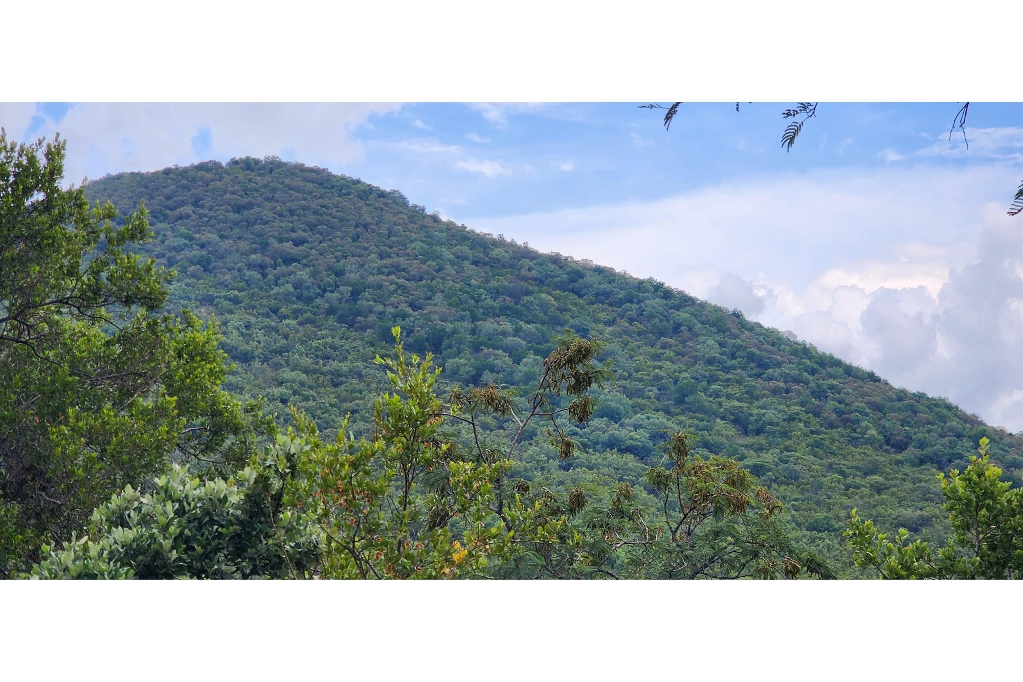Innibos - 1 Ha Vacant land 16 km from Bela-Bela - Private Game Reserve - DOG Friendly