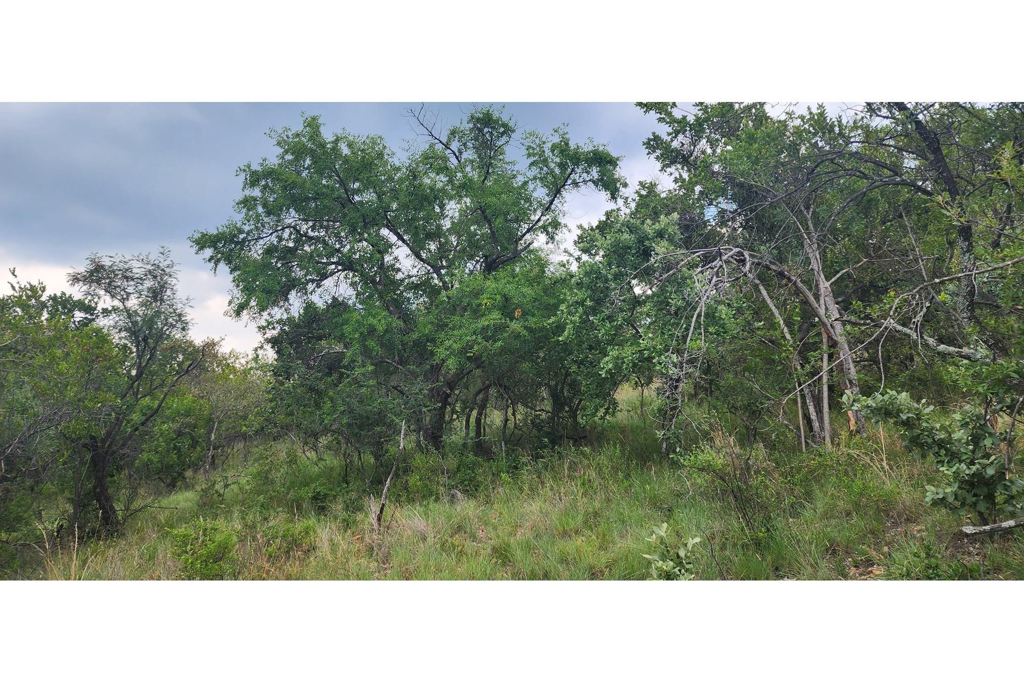 Innibos - 1 Ha Vacant land 16 km from Bela-Bela - Private Game Reserve - DOG Friendly