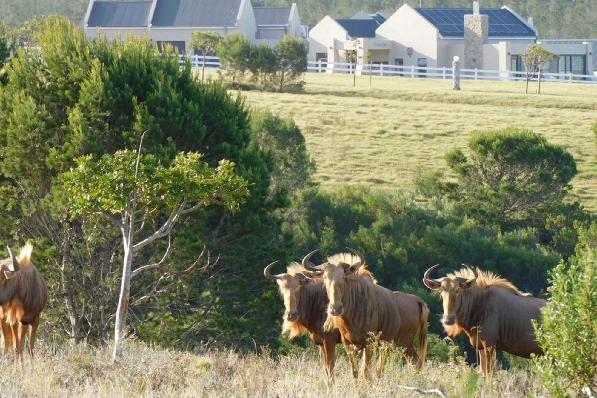 OWN A PIECE OF PARADISE IN JEFFREYS BAY!