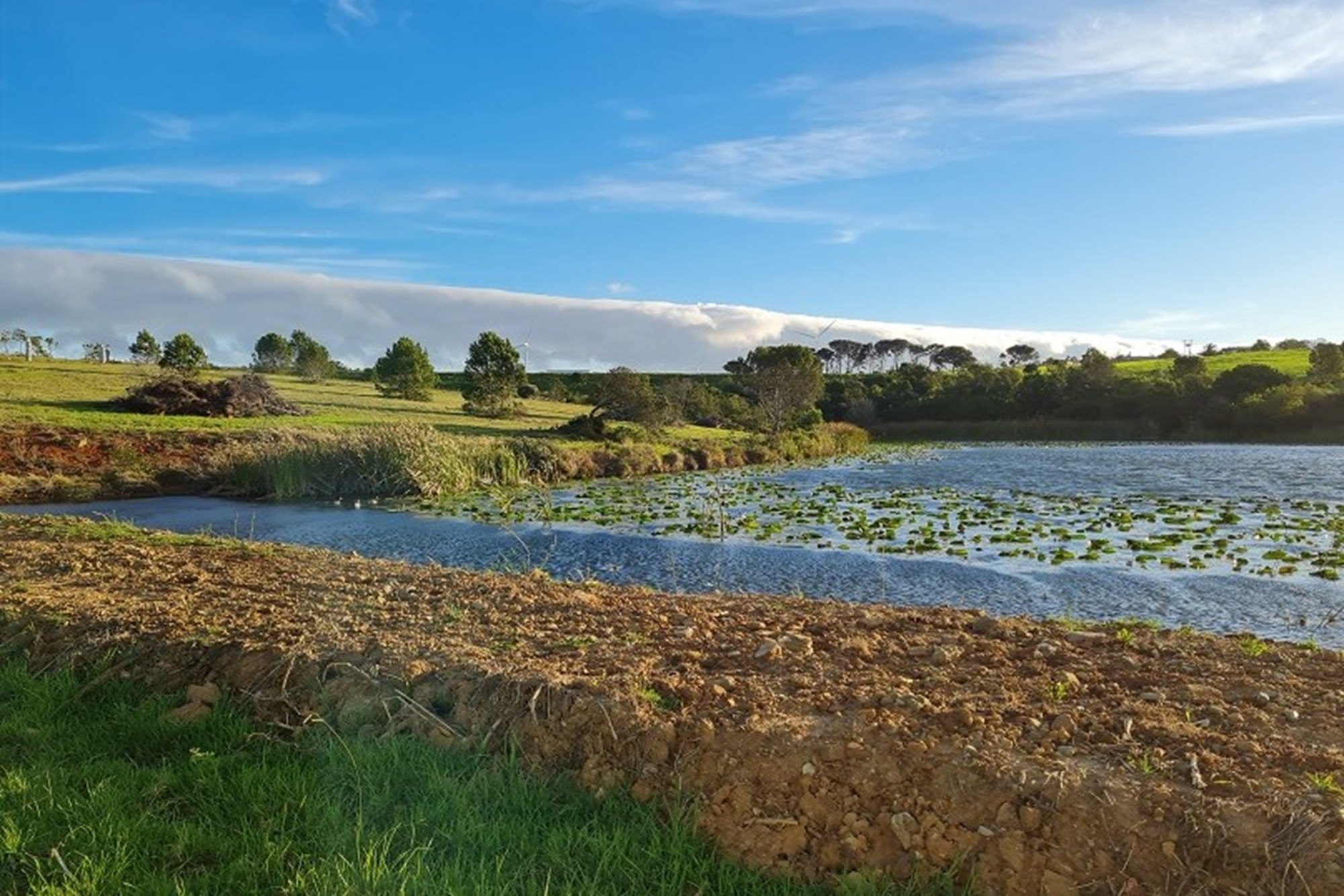 OWN A PIECE OF PARADISE IN JEFFREYS BAY!
