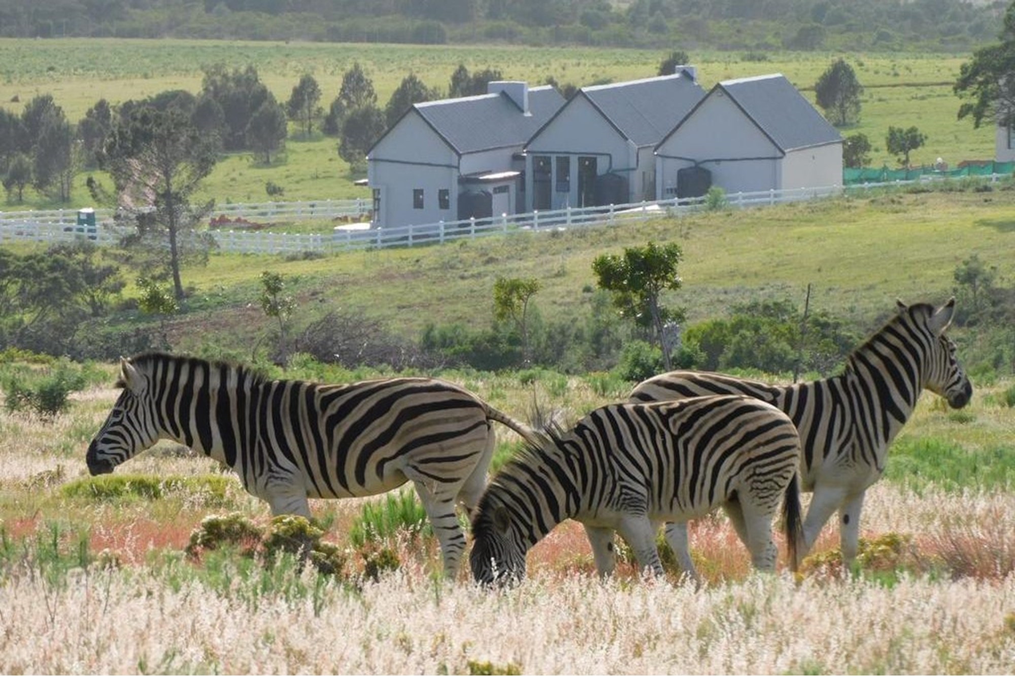 OWN A PIECE OF PARADISE IN JEFFREYS BAY!