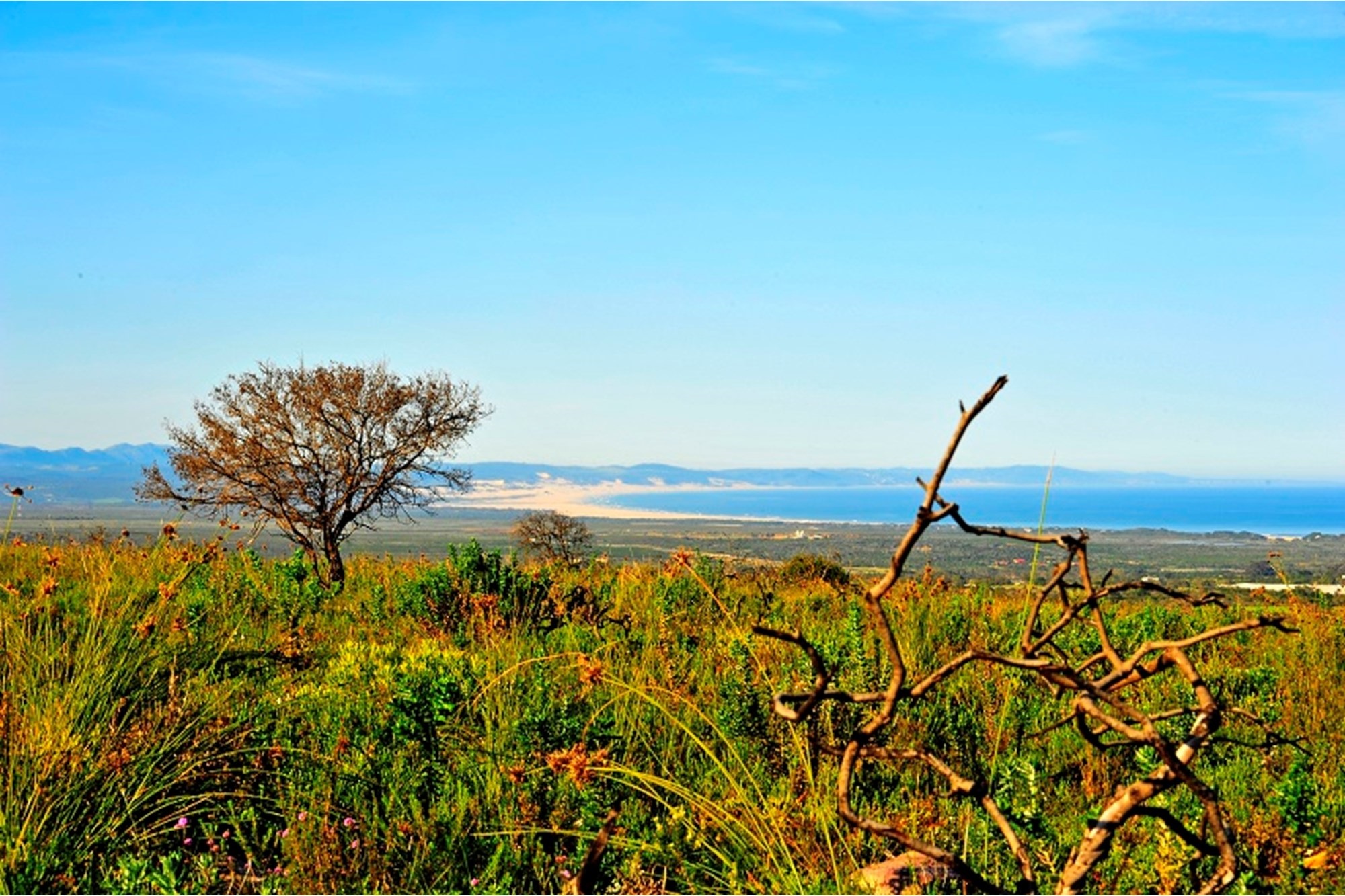 OWN A PIECE OF PARADISE IN JEFFREYS BAY!