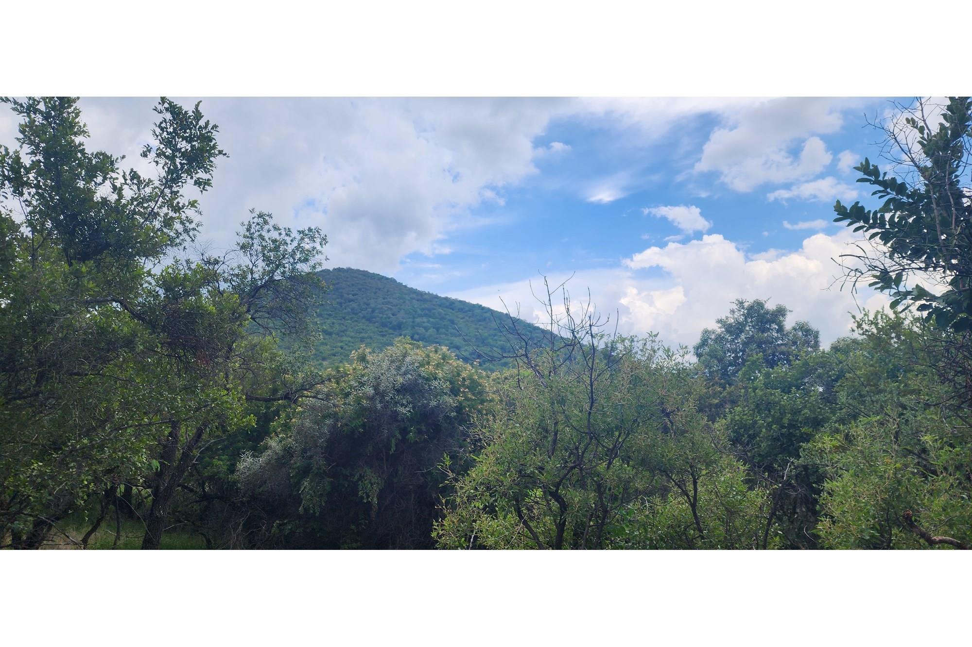Innibos - 1 HA Vacant land with spectacular views of Springbuck Flats - Dog Friendly