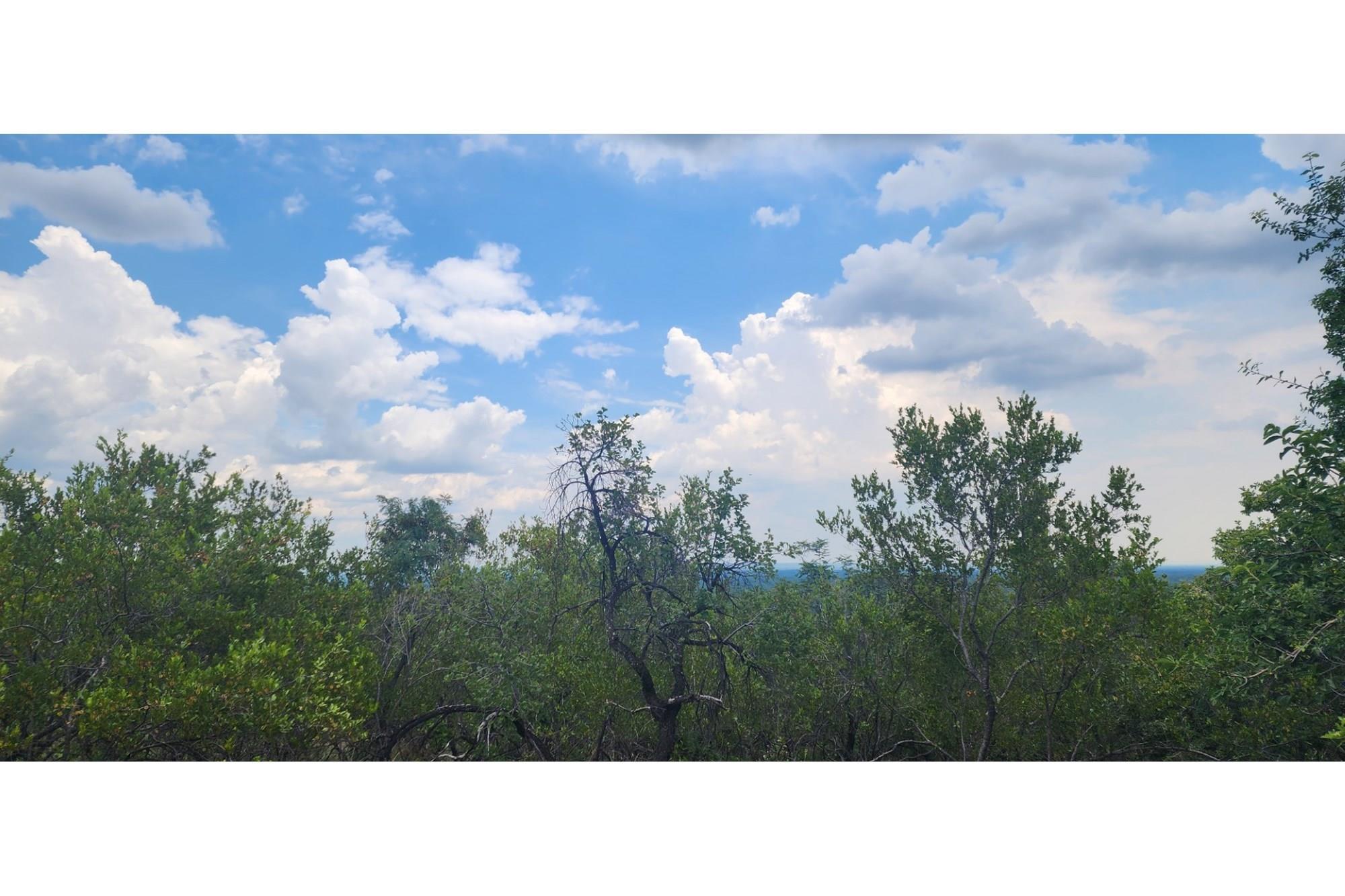 Innibos - 1 HA Vacant land with spectacular views of Springbuck Flats - Dog Friendly