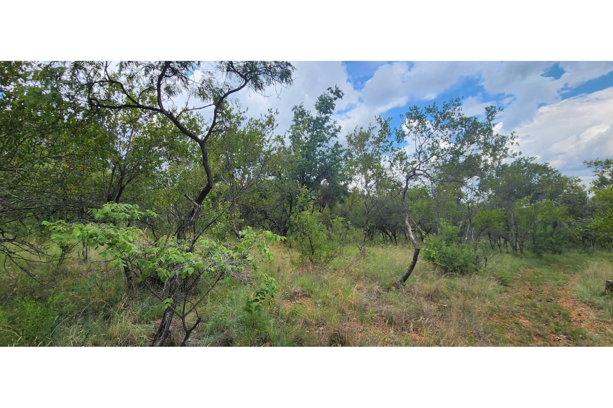 Innibos - 1 HA Vacant land with spectacular views of Springbuck Flats - Dog Friendly