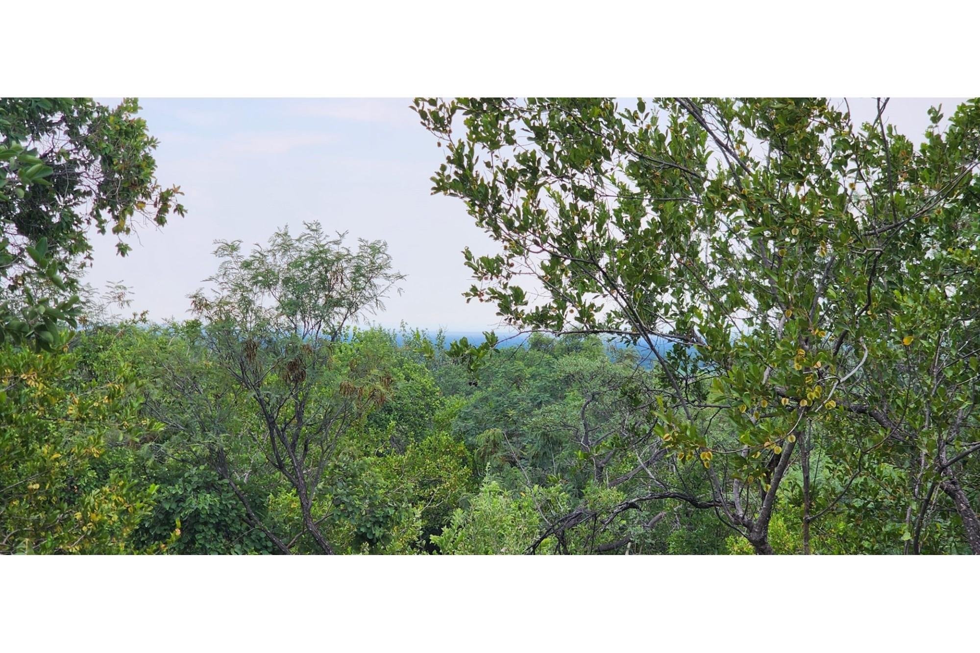 Innibos - 1 HA Vacant land with spectacular views of Springbuck Flats - Dog Friendly