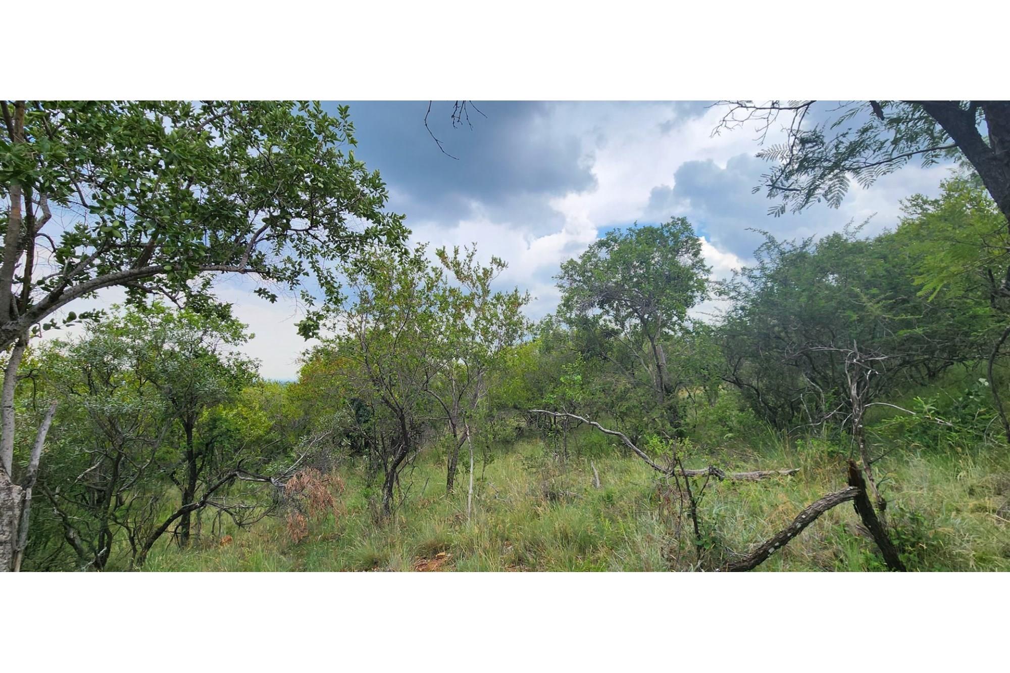 Innibos - 1 HA Vacant land with spectacular views of Springbuck Flats - Dog Friendly