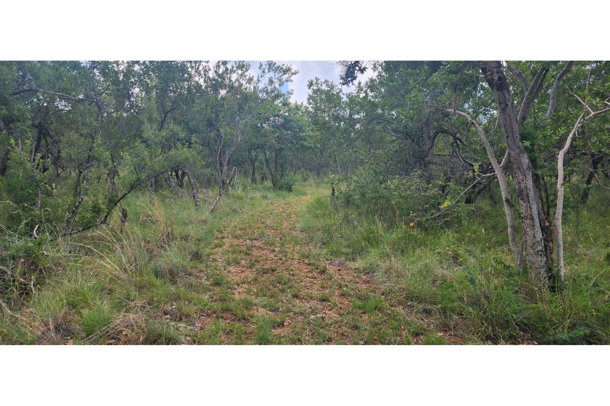 Innibos - 1 HA Vacant land with spectacular views of Springbuck Flats - Dog Friendly