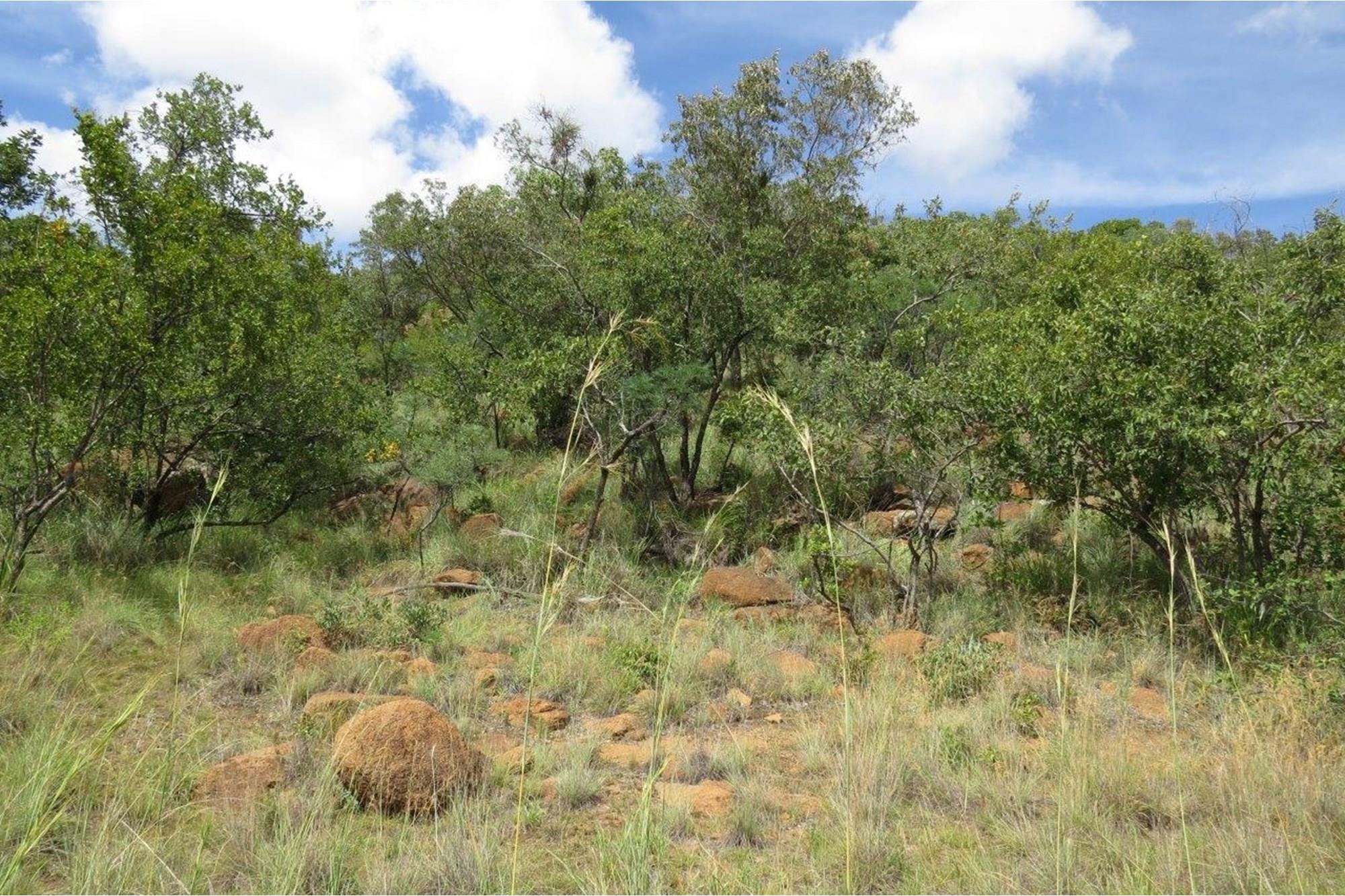 Zwartkloof Game Reserve - DAM View - DEVELOPER STAND - Full Title