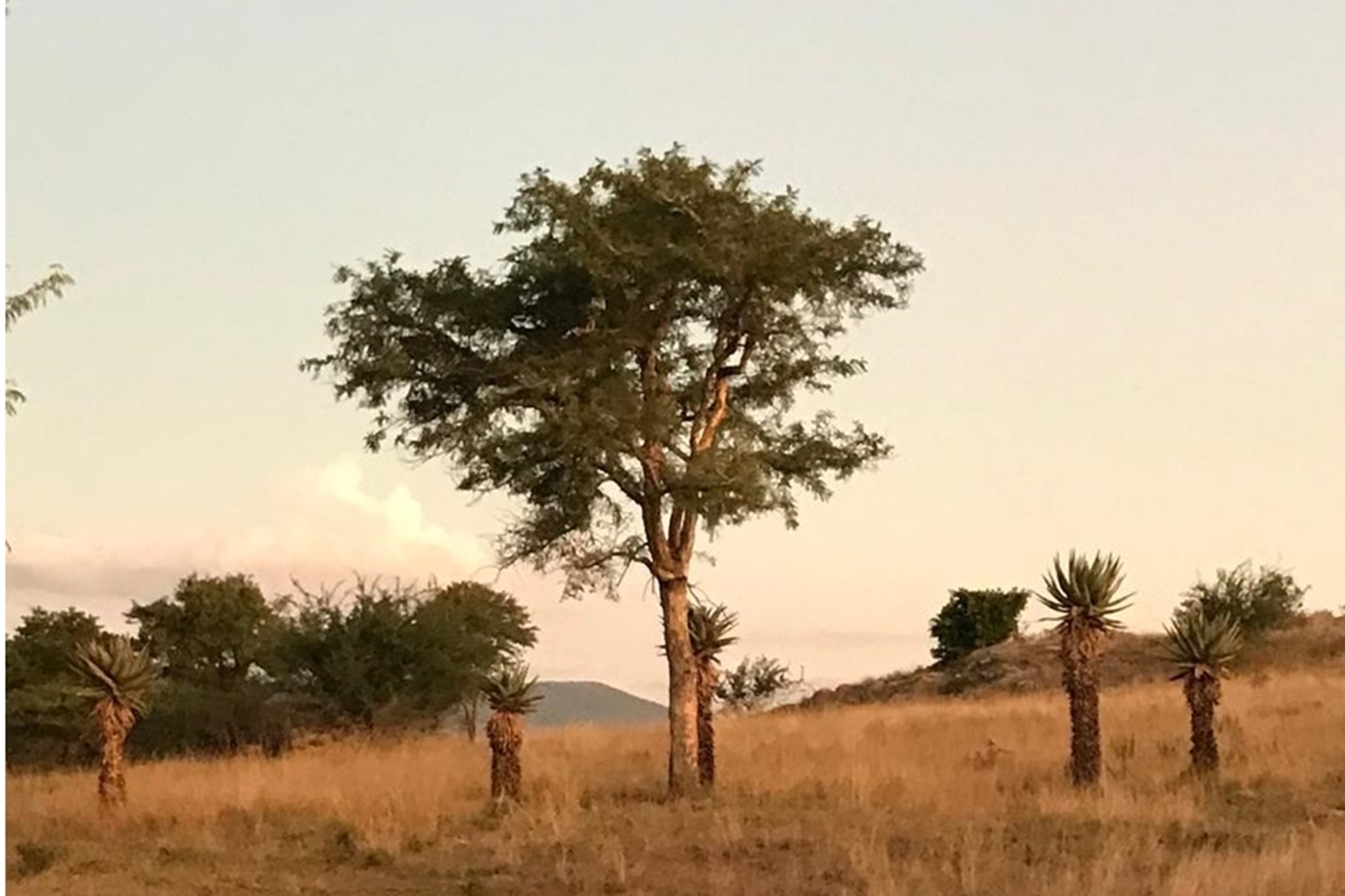Farm for sale in Glencoe, KwaZulu Natal, 10936900 m²