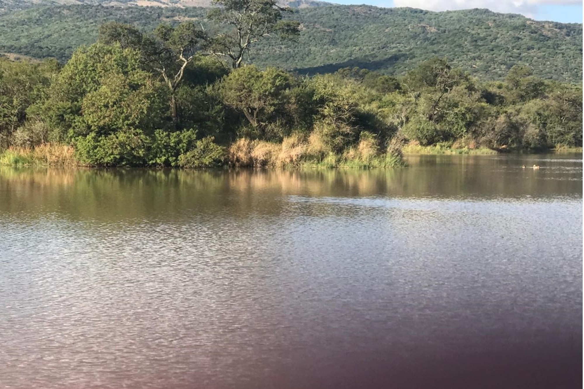 Farm for sale in Glencoe, KwaZulu Natal, 10936900 m²