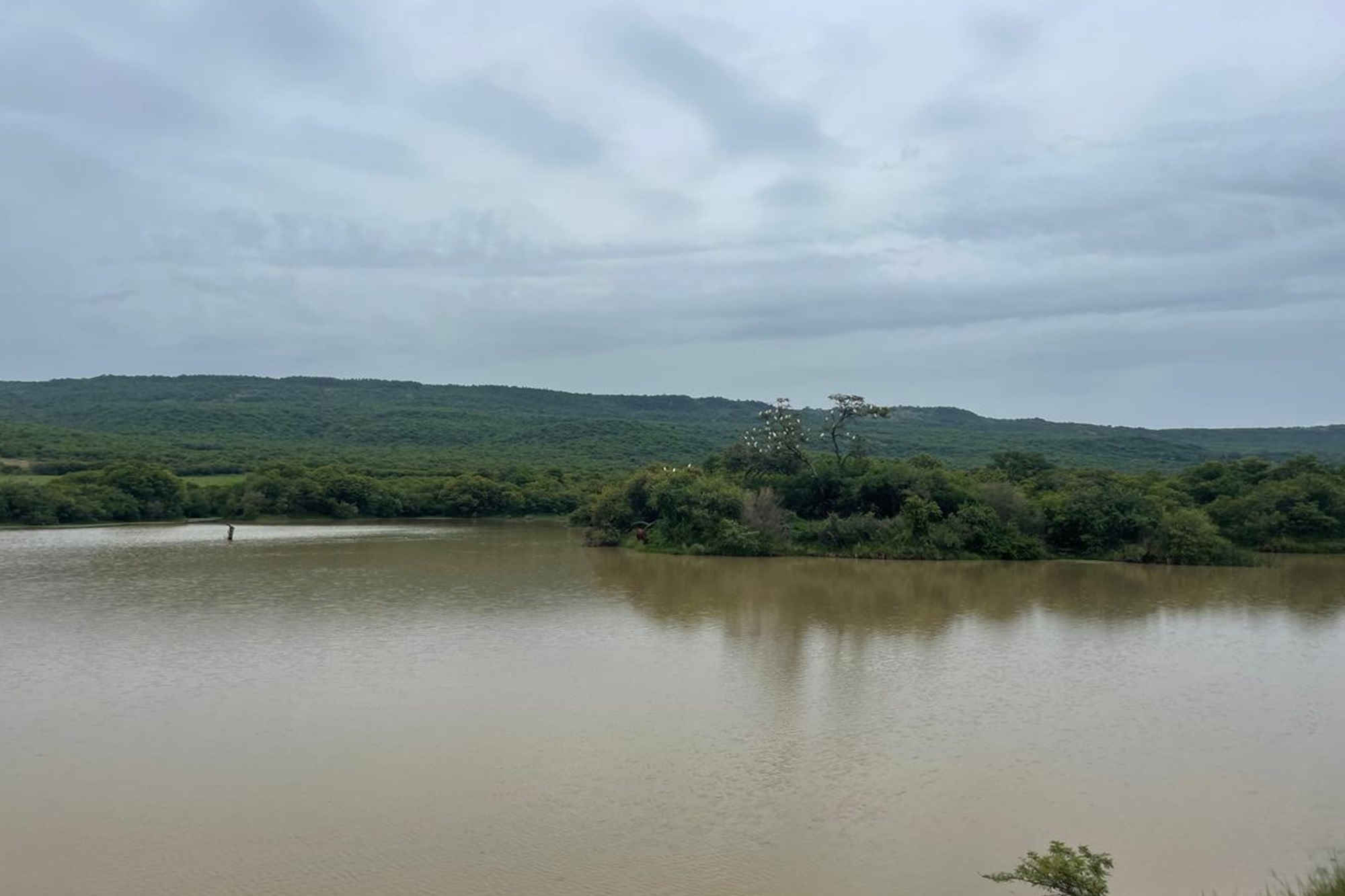 Farm for sale in Glencoe, KwaZulu Natal, 10936900 m²