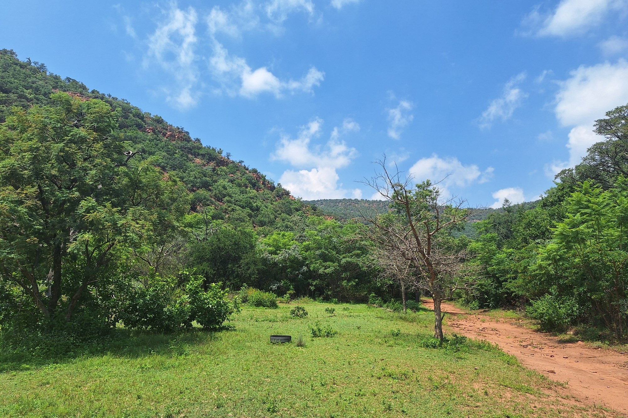 102 Ha Game Farm & Business Opportunity - The Perfect Entrepreneurial Investment!