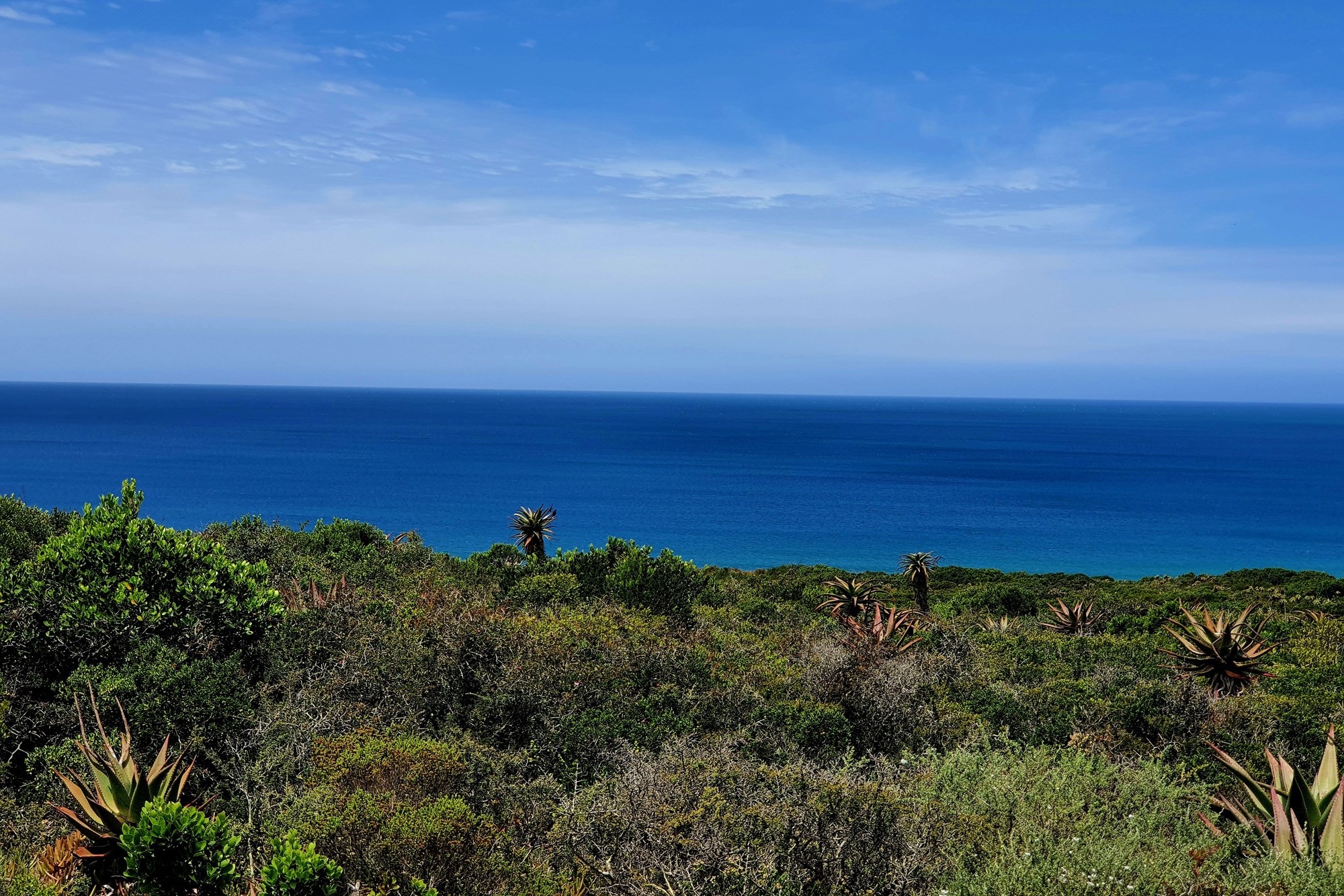 Vacant Land for sale in Springerbaai Eco Estate, Mossel Bay, 2779 m²