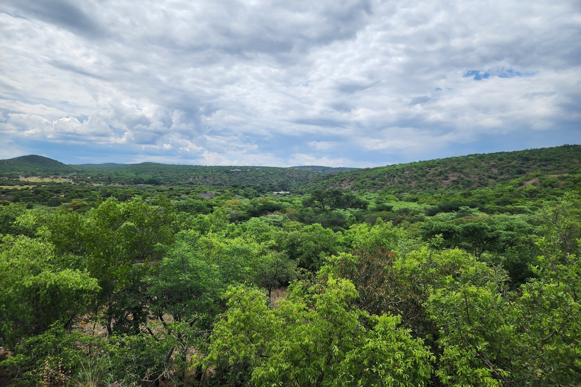 Intaba-Indle - South Africa - Six bedroom thatch lodge in private game reserve